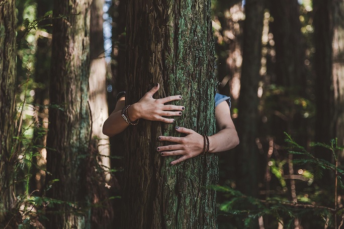 TREE & ME